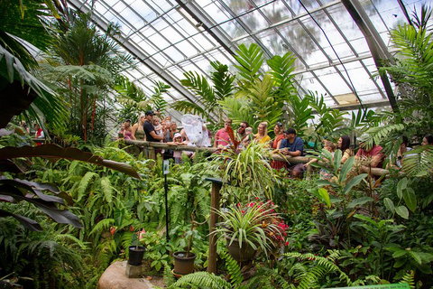 Australian Butterfly Sanctuary - Find Attractions 0