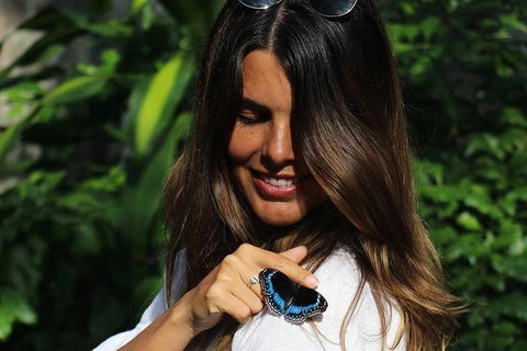 Australian Butterfly Sanctuary - Find Attractions 2