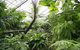 Australian Butterfly Sanctuary - thumb 3