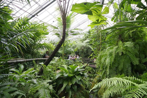 Australian Butterfly Sanctuary - Find Attractions 3
