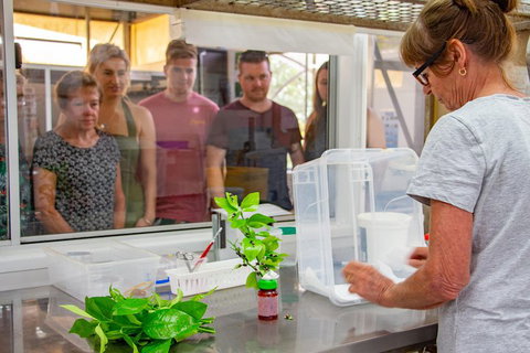 Australian Butterfly Sanctuary - Find Attractions 5
