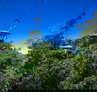 Classic Kuranda by Skyrail and Scenic Railway Including Rainforestation Koala and Wildlife Park and Pamagirri Aboriginal Experi - Find Attractions