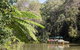Kuranda Village, Army Duck Tour With Train And Skyrail (KDB) - thumb 4