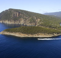 3-Hour Bruny Island Cruise from Adventure Bay Bruny Island - Find Attractions