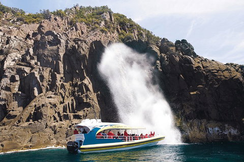 3-Hour Bruny Island Cruise From Adventure Bay, Bruny Island - Find Attractions 5