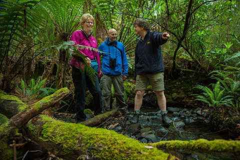 Bruny Island Traveller - Gourmet Tasting And Sightseeing Day Trip From Hobart - Find Attractions 1