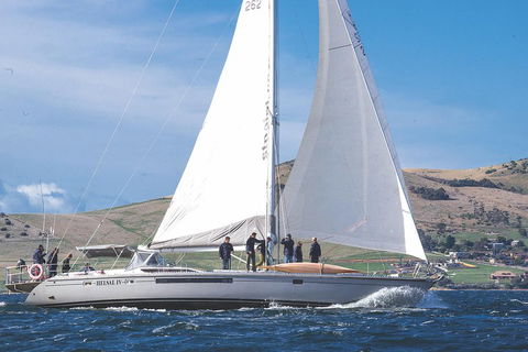 Half-Day Sailing On The Derwent River From Hobart - Find Attractions 1