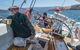 Half-Day Sailing On The Derwent River From Hobart - thumb 2