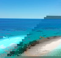 Ocean Safari Great Barrier Reef Experience in Cape Tribulation - Find Attractions