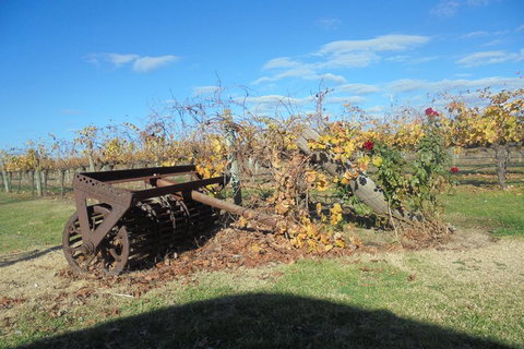 Swan Valley Tour From Perth: Wine, Beer And Chocolate Tastings - Find Attractions 3
