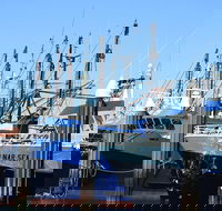 One Day Port Lincoln Tour - Tasting Eyre - Find Attractions