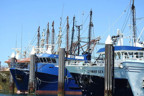 One Day Port Lincoln Tour - Tasting Eyre - Find Attractions 0