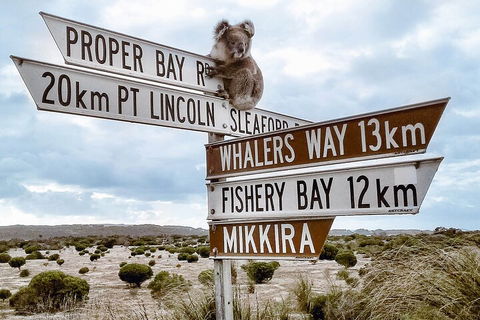 One Day Port Lincoln Tour - Tasting Eyre - Find Attractions 2