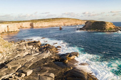 One Day Port Lincoln Tour - Tasting Eyre - Find Attractions 3
