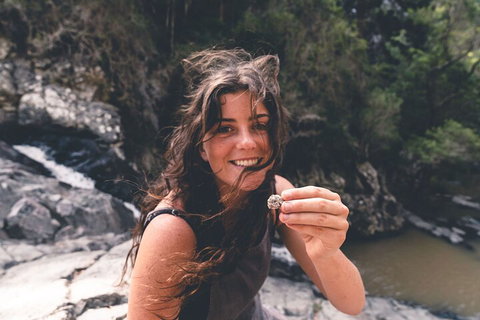Springbrook AndTamborine Rainforest Tour Incl Natural Bridge And Glow Worm Cave - Find Attractions 1