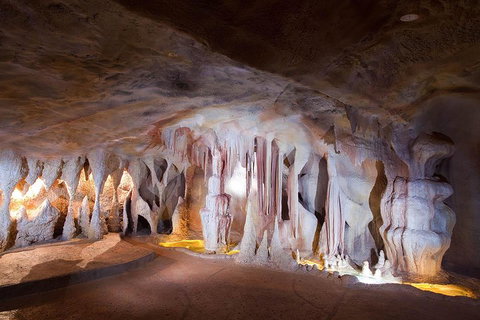 Springbrook AndTamborine Rainforest Tour Incl Natural Bridge And Glow Worm Cave - Find Attractions 4