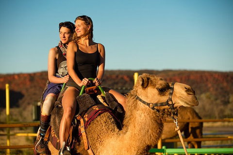 4 Day/3 Night Perentie Dreaming Safari - Find Attractions 4