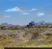 Overnight Uluru Ayers Rock Small-Group Camping Tour - Find Attractions