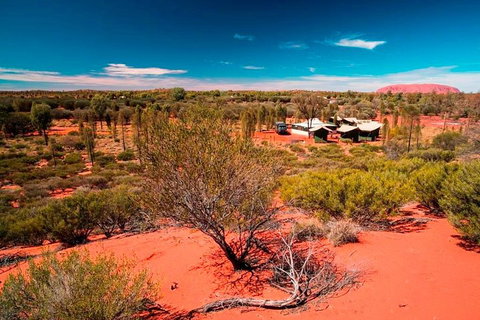 Overnight Uluru (Ayers Rock) Small-Group Camping Tour - Find Attractions 2