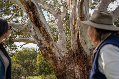 NEW TOUR - Kangaroo Island Road To Recovery Tour (1 Day/1 Night) - Find Attractions 0