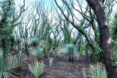 NEW TOUR - Kangaroo Island Road To Recovery Tour (1 Day/1 Night) - Find Attractions 3