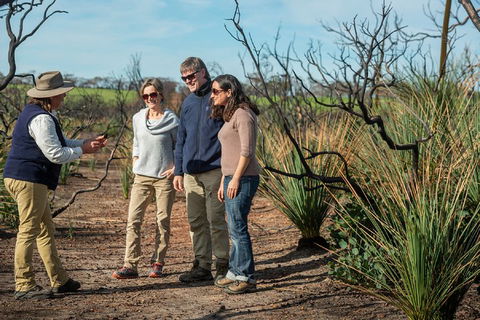 NEW TOUR - Kangaroo Island Road To Recovery Tour (1 Day/1 Night) - Find Attractions 4