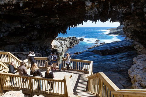 Full Day Flinders Chase Tour From Kangaroo Island - Find Attractions 1