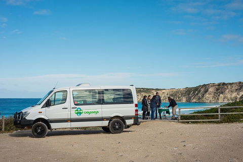 Full Day Flinders Chase Tour From Kangaroo Island - Find Attractions 3