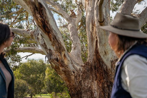 Full Day Flinders Chase Tour From Kangaroo Island - Find Attractions 5