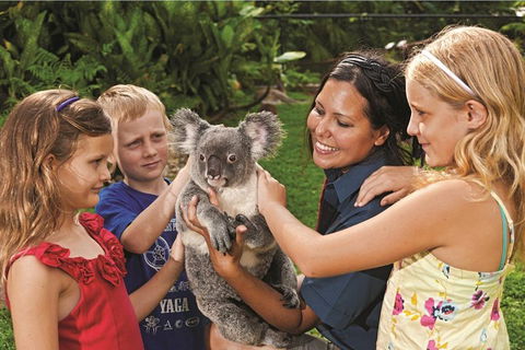 Kuranda Koala Gardens General Entry Ticket - Find Attractions 0