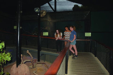 Kuranda Koala Gardens General Entry Ticket - Find Attractions 2