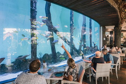Cairns Aquarium By Twilight With 3-Course Dinner - Find Attractions 4