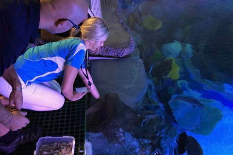 Cairns Aquarium Marine Life Encounter Ticket With 2-Course Lunch - Find Attractions 2