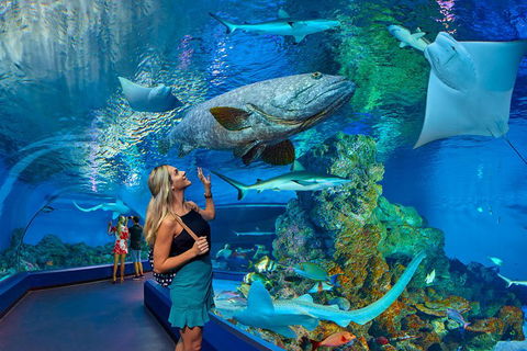 Cairns Aquarium Admission Ticket - Find Attractions 3