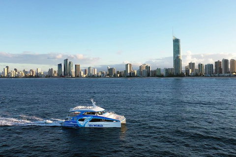 Whale Watching By Sea World Cruises - Find Attractions 1