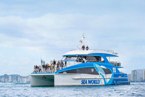 Whale Watching By Sea World Cruises - Find Attractions 3