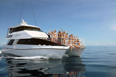 Seastar Luxury Outer Great Barrier Reef Island And Reef Tour From Cairns - Find Attractions 4