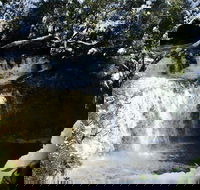 Cradle Mountain Day Tour from Launceston Including Lunch - Find Attractions