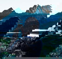 Cradle Mountain Park Explorer Guided Tour - Find Attractions