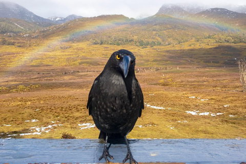 Cradle Mountain Park Explorer Guided Tour - Find Attractions 2