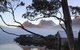 Cradle Mountain Park Explorer Guided Tour - thumb 5