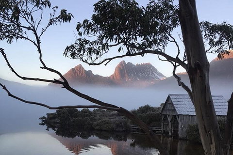 Cradle Mountain Park Explorer Guided Tour - Find Attractions 5