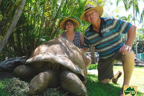 Small-Group Australia Zoo Day Trip From Brisbane - Find Attractions 1