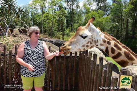 Small-Group Australia Zoo Day Trip From Brisbane - Find Attractions 2