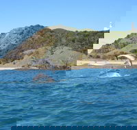 Kayaking with Dolphins in Byron Bay Guided Tour - Find Attractions