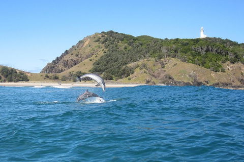 Kayaking With Dolphins In Byron Bay Guided Tour - Find Attractions 0
