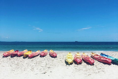 Kayaking With Dolphins In Byron Bay Guided Tour - Find Attractions 1