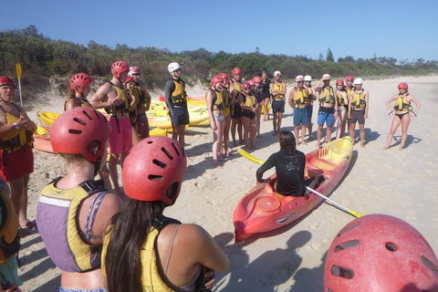 Kayaking With Dolphins In Byron Bay Guided Tour - Find Attractions 2
