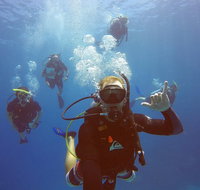 12-Day Great Barrier Reef Marine Conservation Program from Cairns - Find Attractions