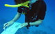 12-Day Great Barrier Reef Marine Conservation Program From Cairns - thumb 2